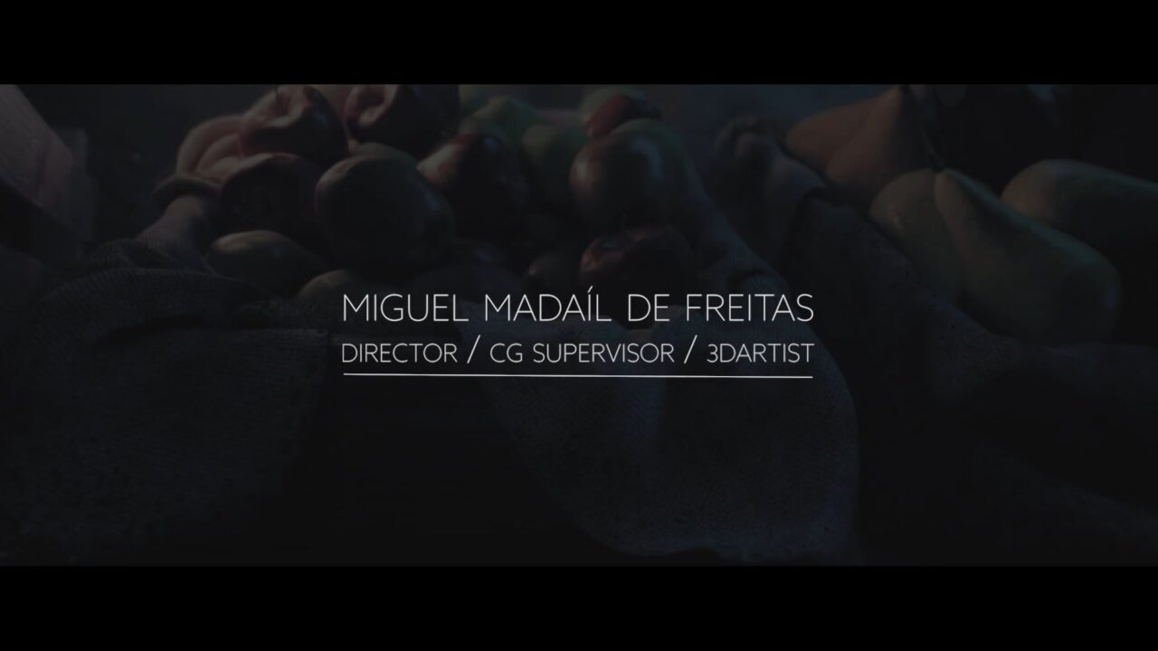 Miguel Madaíl de Freitas - Director's Showreel