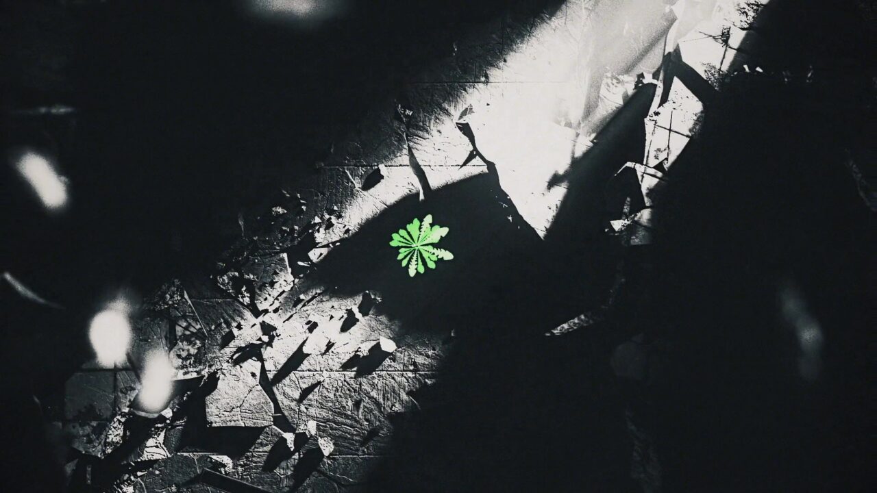 2026 Atlas Festival Opening Titles - Miguel Madaíl de Freitas